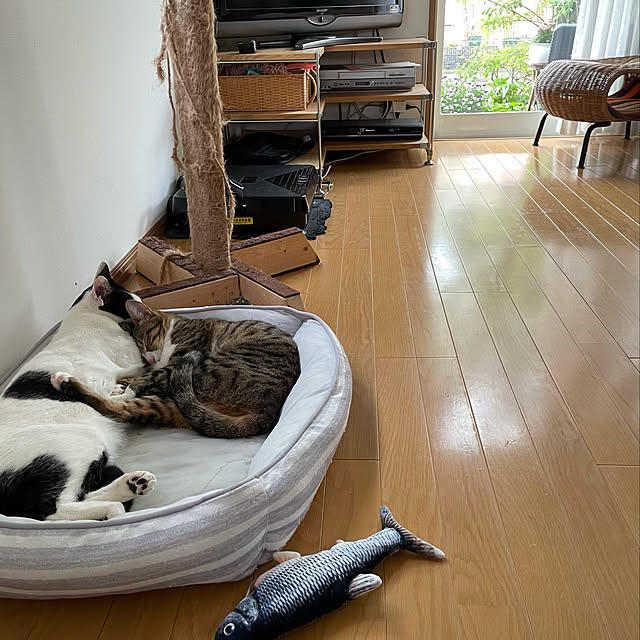 nobikoさんの実例写真