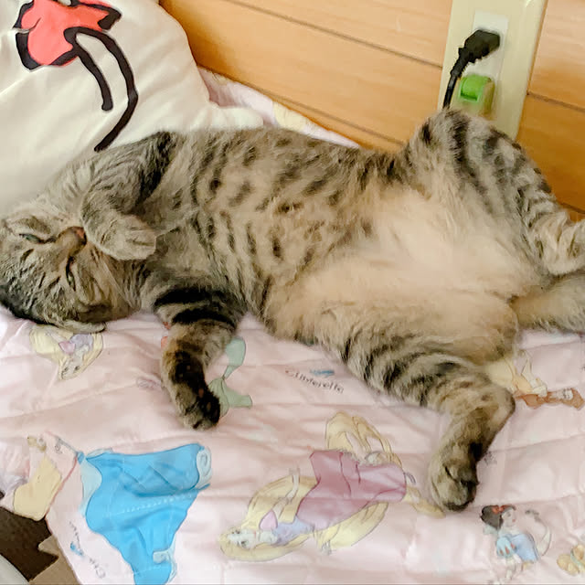 rionkaoさんの実例写真
