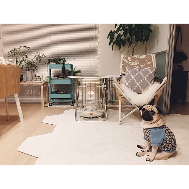 YUIさんの実例写真