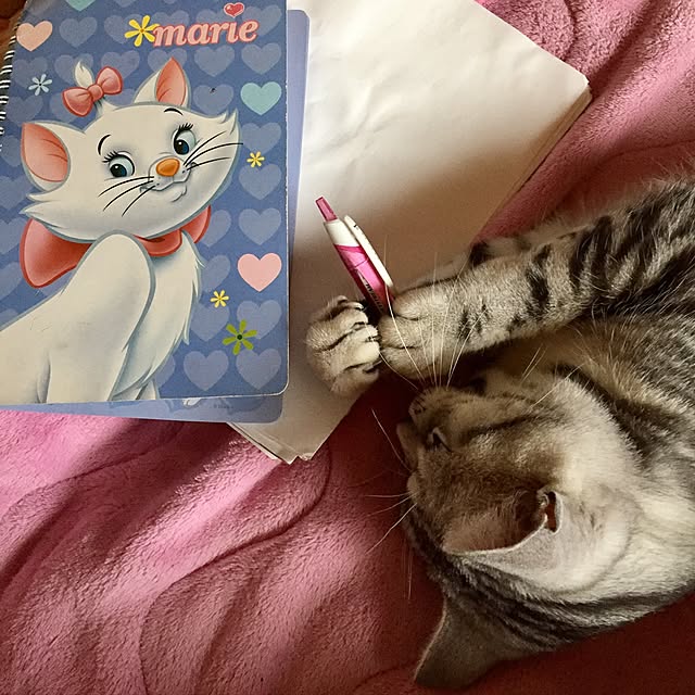 tanutanさんの実例写真