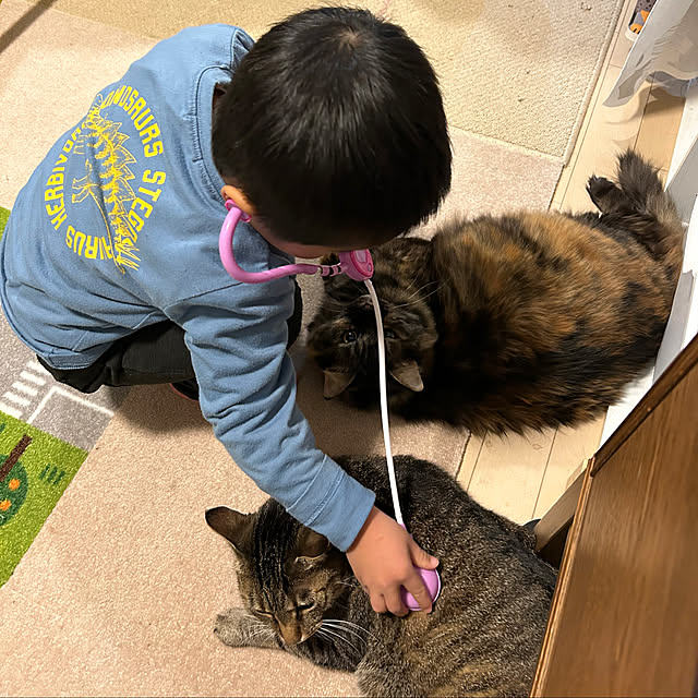 mikomaruさんの実例写真