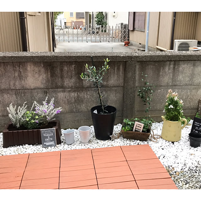 pipipipiさんの実例写真