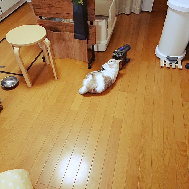 nachiさんの実例写真