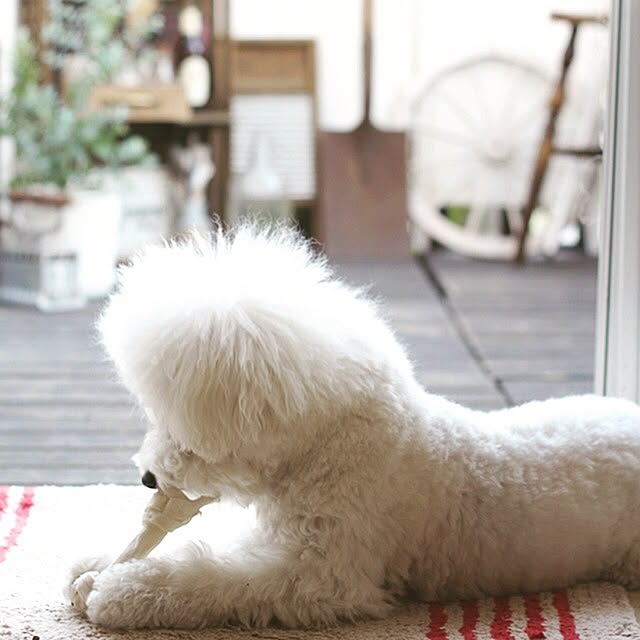 happy_bridgeさんの実例写真