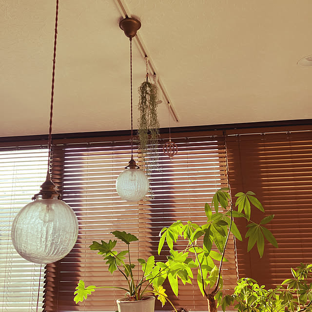 hikaruuさんの実例写真