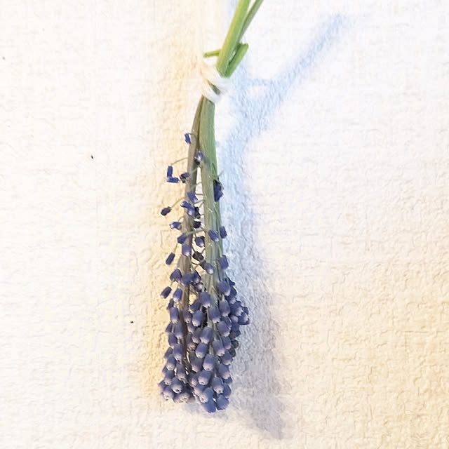 monnさんの部屋