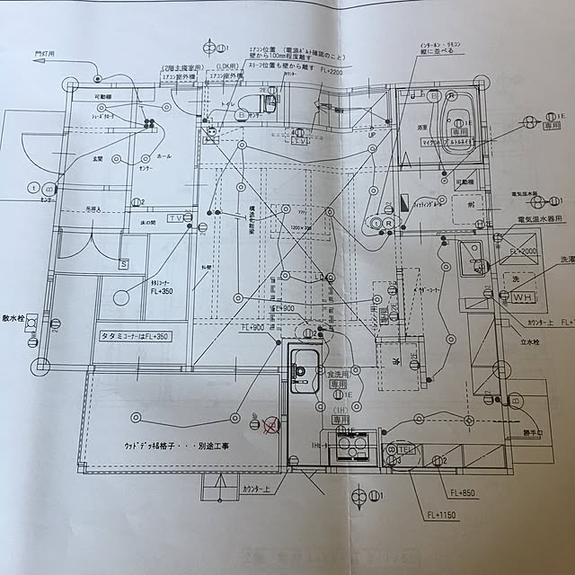 dogsさんの実例写真