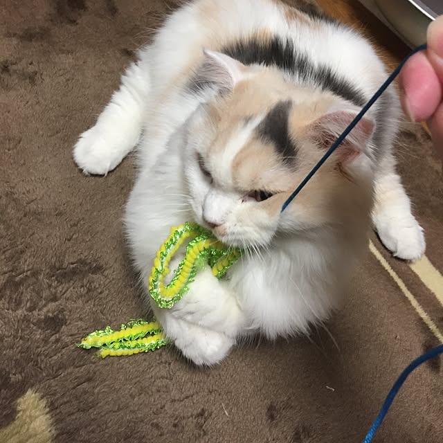 keibooさんの実例写真
