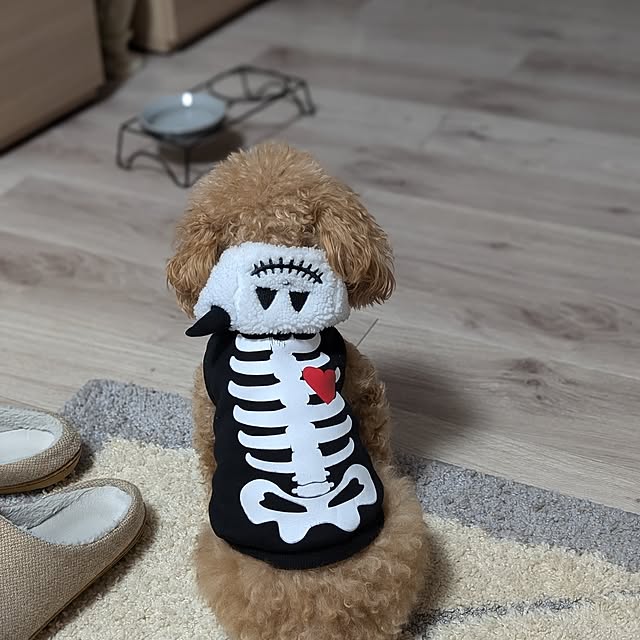 erisavesu4さんの実例写真