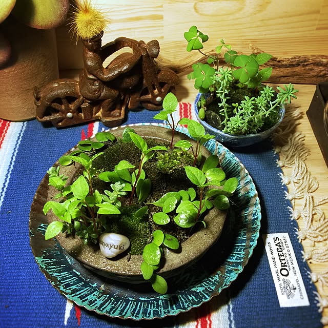 satochanさんの実例写真