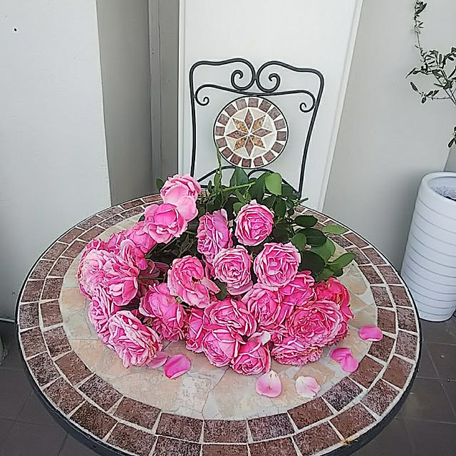 hiromimiさんの実例写真
