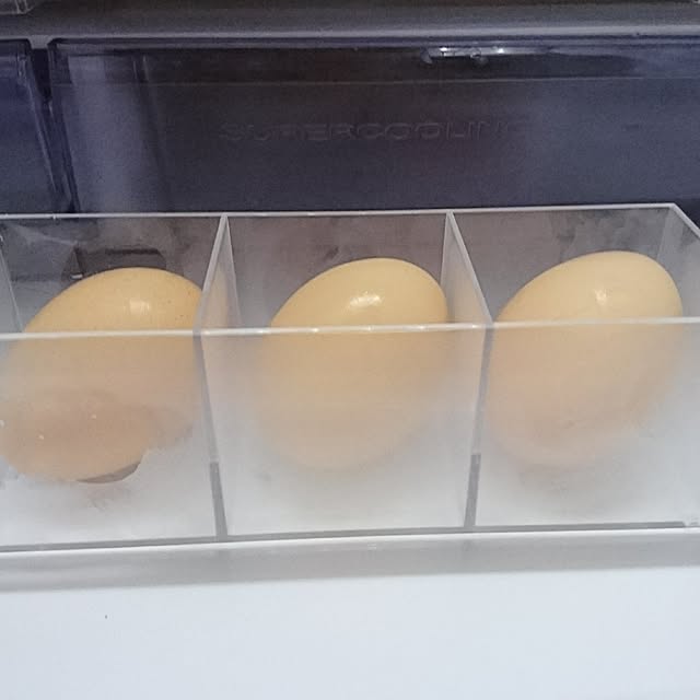 rinaさんの実例写真