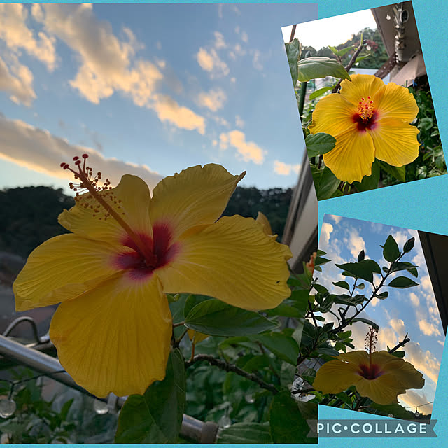 Aqettyさんの実例写真