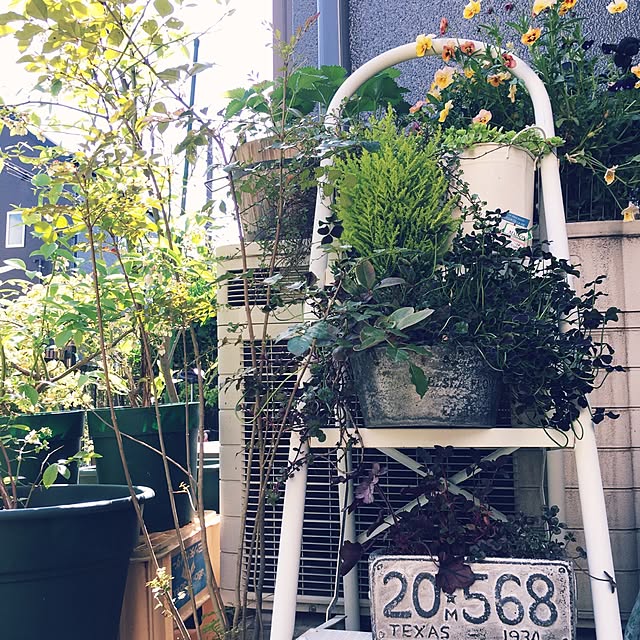 onokenkoさんの実例写真
