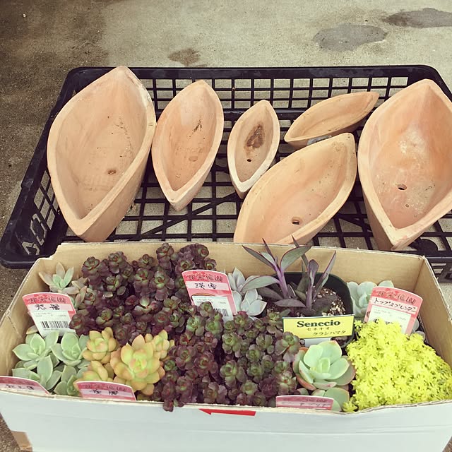moririnさんの実例写真