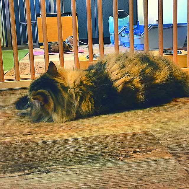 Annaさんの実例写真