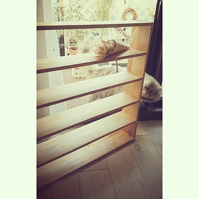 marikoさんの実例写真