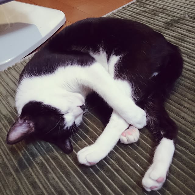 kazaneさんの実例写真