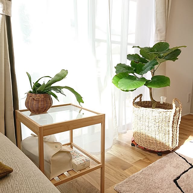 otokiさんの部屋