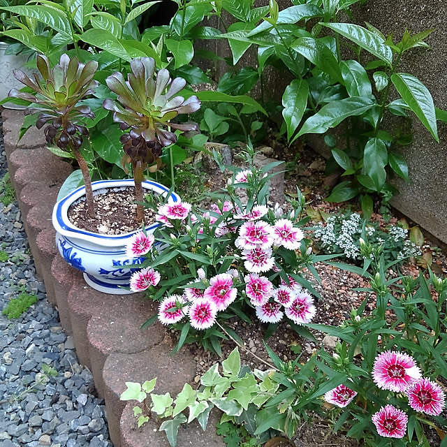 Renさんの実例写真