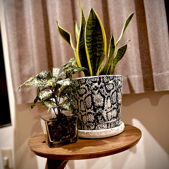 coopers01さんの部屋