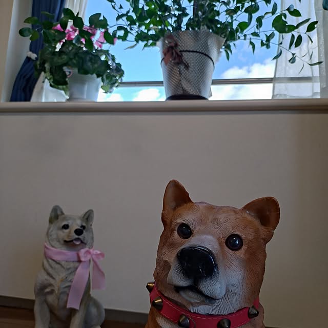 NOAHさんの部屋