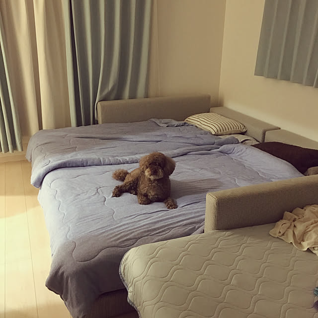 mymk1225さんの実例写真
