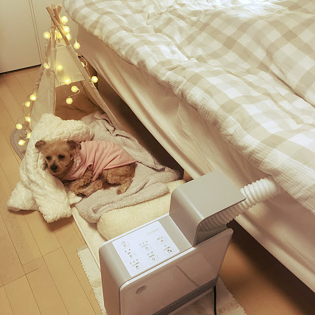 haruさんの実例写真
