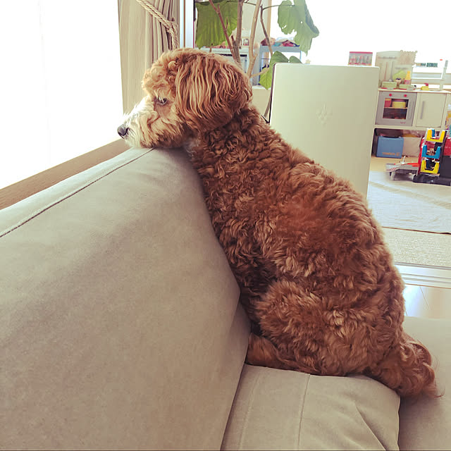 marbleさんの実例写真