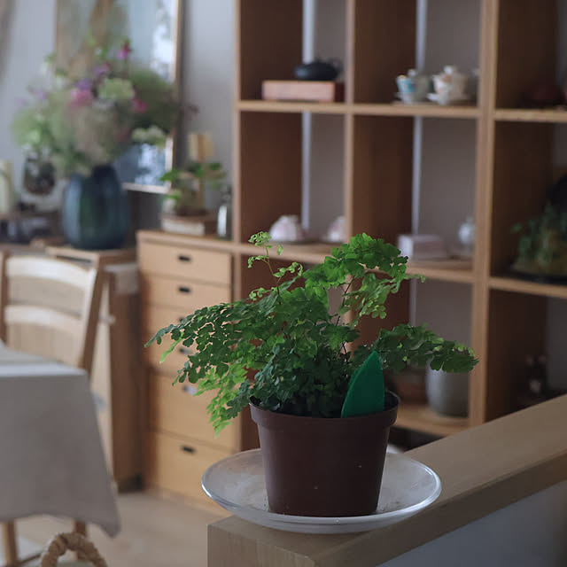Summerさんの部屋