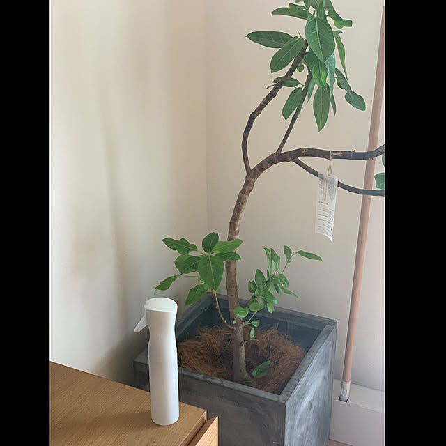 h_home.hさんの実例写真