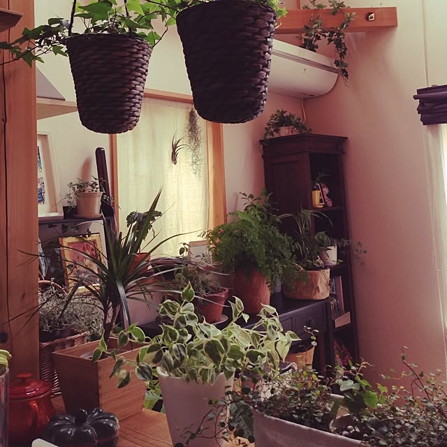 jardinさんの実例写真