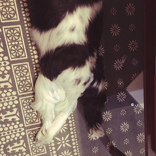 lunamamajunkoさんの実例写真