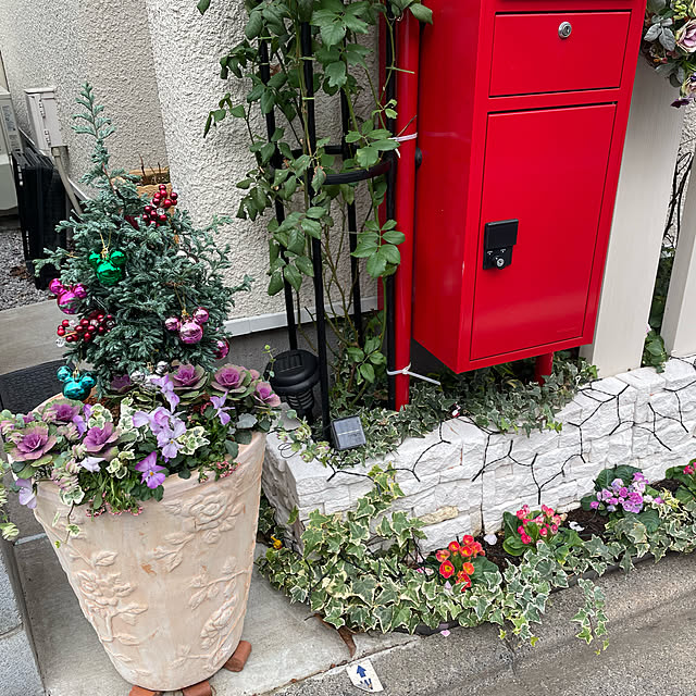 chiaki.chunさんの実例写真