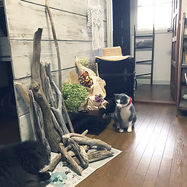 mucc08さんの実例写真