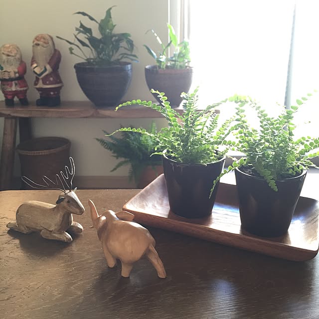 shinさんの実例写真