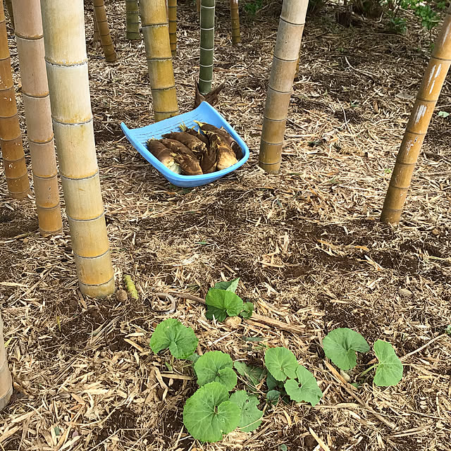 houenさんの部屋