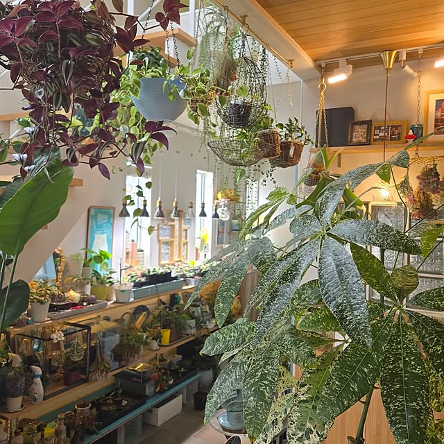 nonbiri_house_さんの実例写真