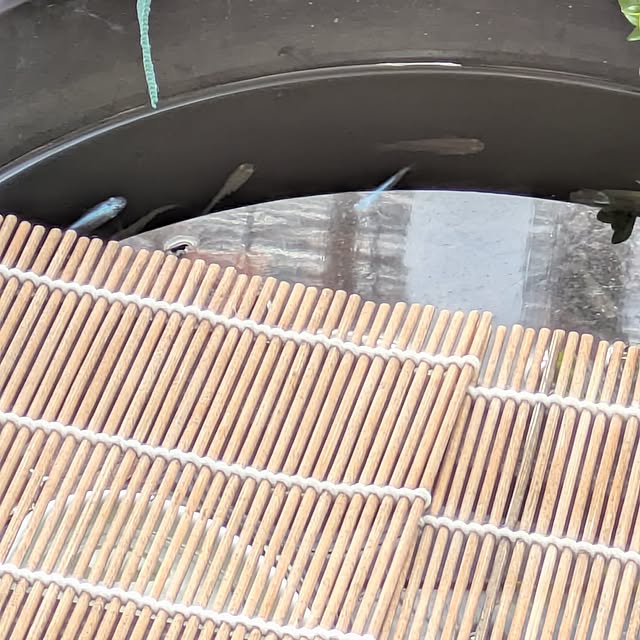 mi-saさんの部屋