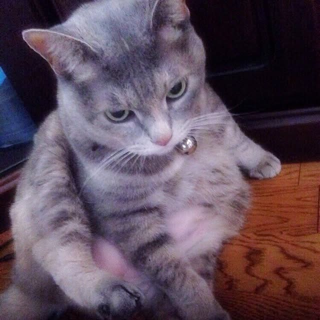 LIO_27さんの実例写真