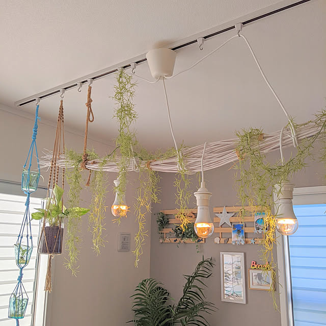 壁/天井/IKEA/流木照明/ハンドメイド/フェイクグリーン...などのインテリア実例 - 2020-11-15 08:09:59
