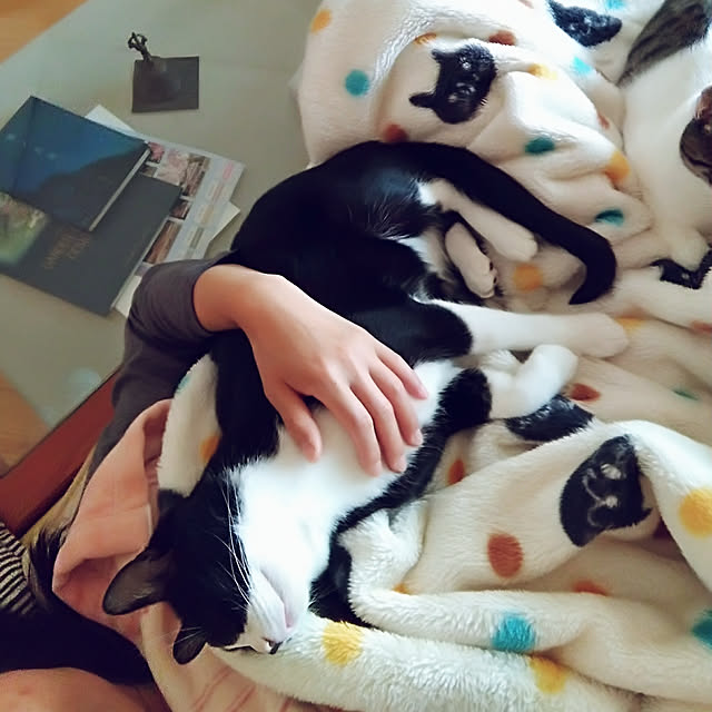 kikufujiさんの実例写真