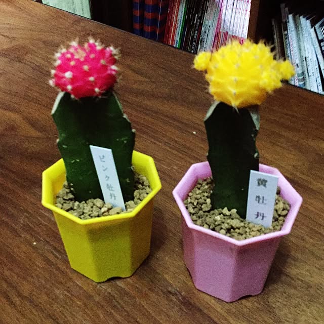 m.k.a.457さんの実例写真