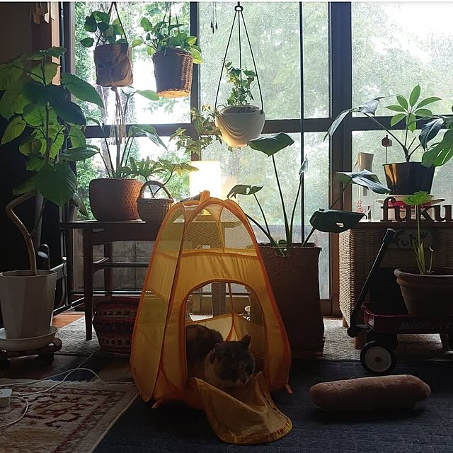 fukuさんの部屋