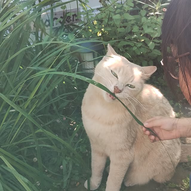 kana_ciiさんの部屋