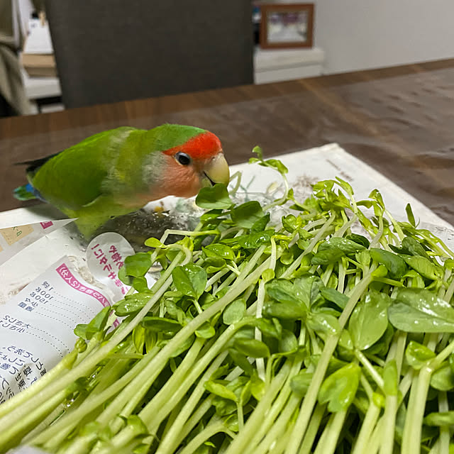 t.and.sakuraさんの実例写真