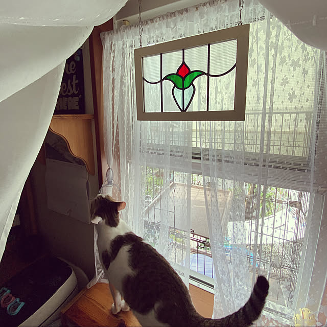 Lufuさんの実例写真