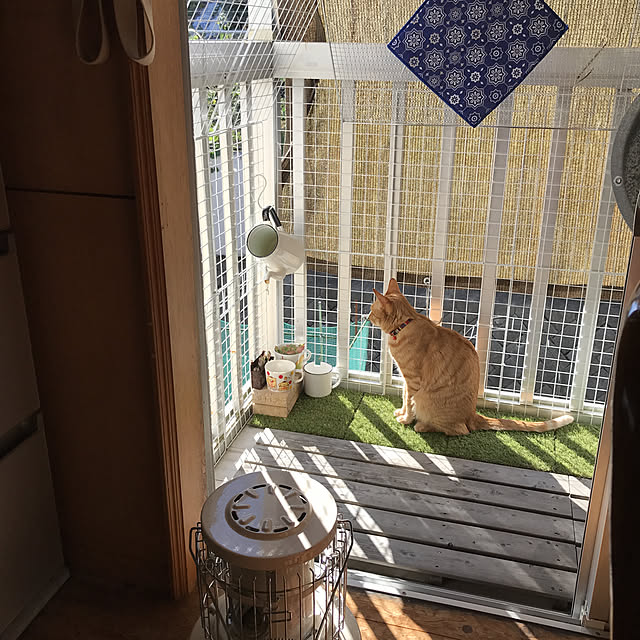 misamisa1113さんの実例写真