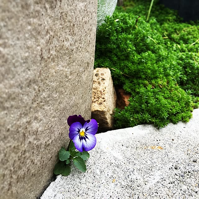 happy129さんの実例写真