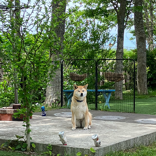 midoさんの実例写真